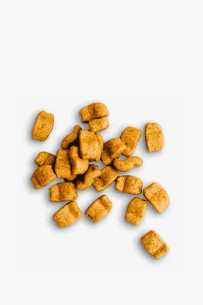 Dry Food for Adult Dogs