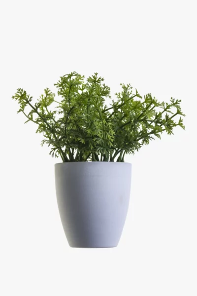 Off-white Jar Ceramic Pot