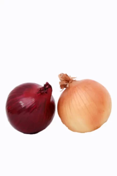 Onion