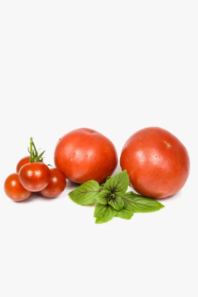 Tomato
