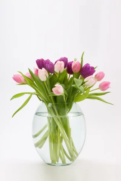 Shatterproof Glass Flower Vase