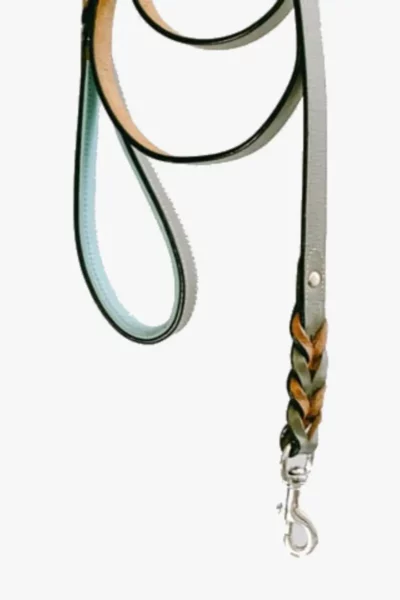 Anti Slip Padded Handle Leash