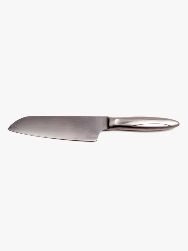Professional Chef Knife